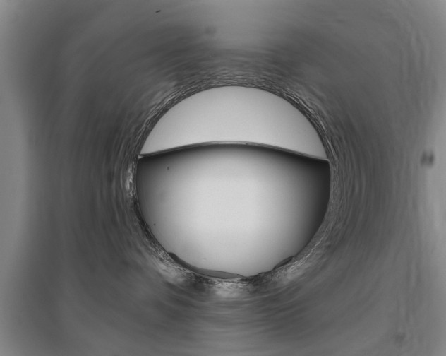 X0000095920336200801110900