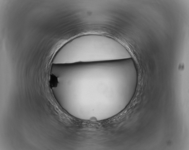X0000095920337200801110900