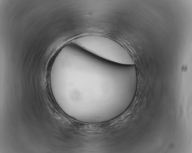 X0000095920338200801110900