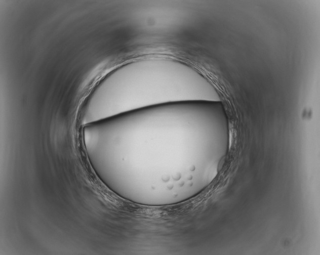 X0000095920339200801110900