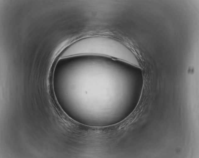 X0000095920340200801110900