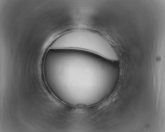 X0000095920341200801110900