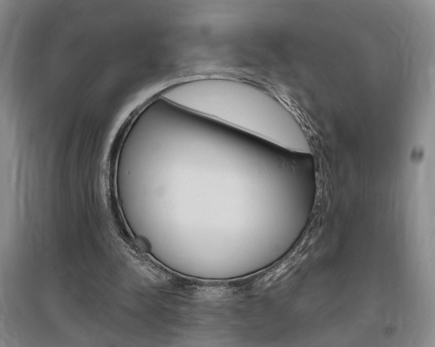 X0000095920342200801110900