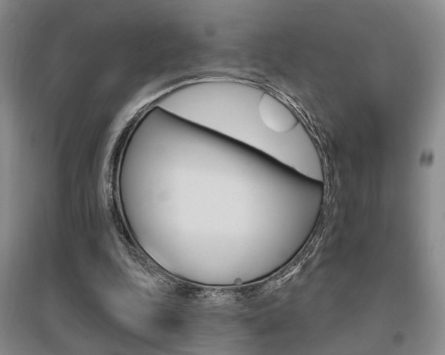 X0000095920343200801110900