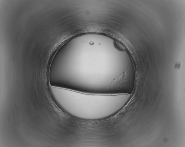 X0000095920345200801110900