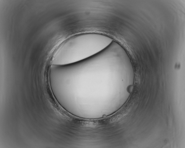 X0000095920347200801110900