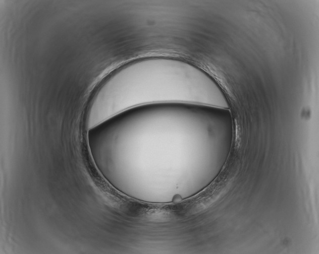 X0000095920348200801110900