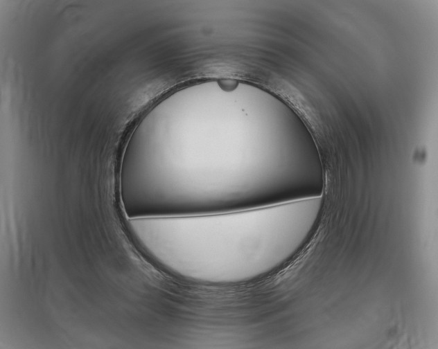 X0000095920349200801110900
