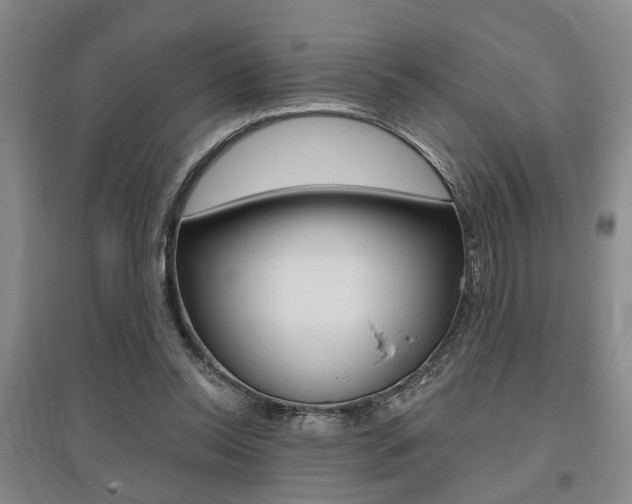 X0000095920350200801110900