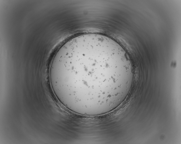 X0000095920351200801110900