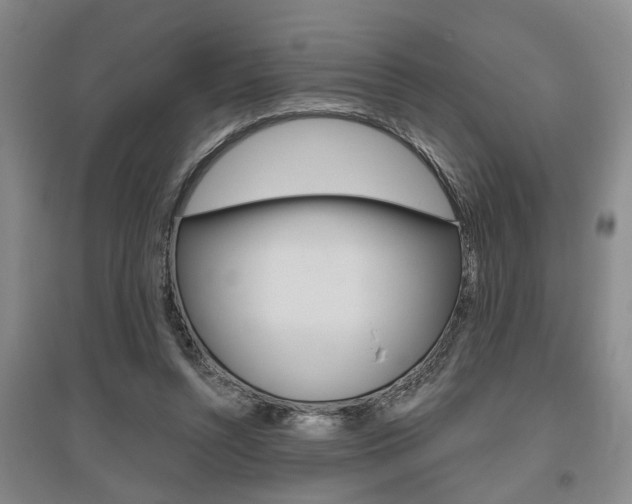 X0000095920352200801110900