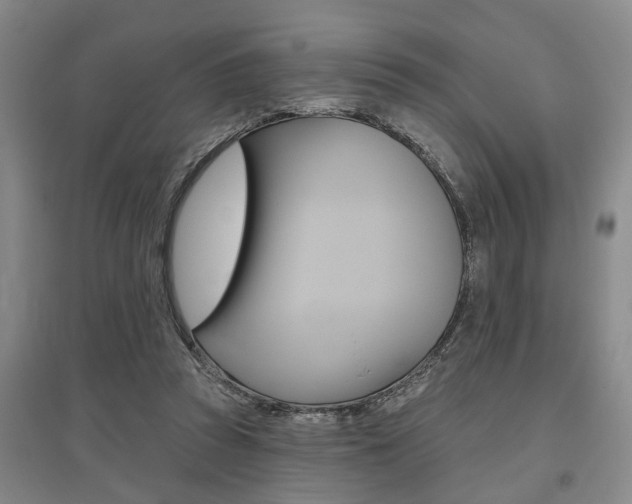 X0000095920353200801110900