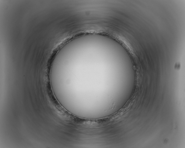 X0000095920354200801110900