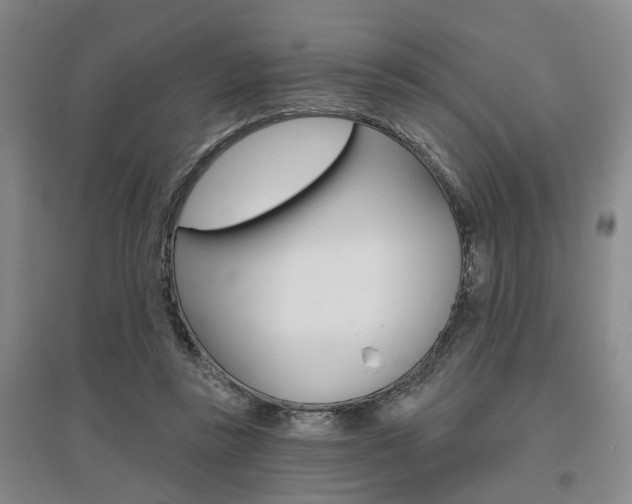 X0000095920355200801110900