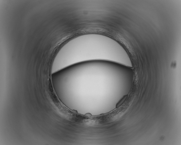 X0000095920356200801110900