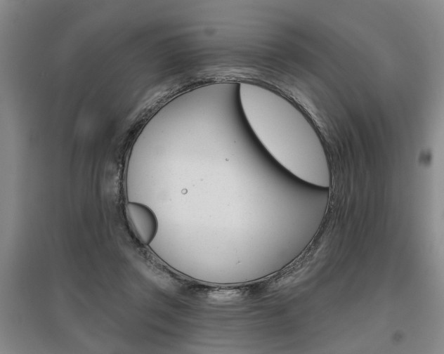 X0000095920357200801110900
