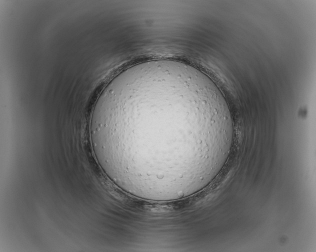 X0000095920359200801110900