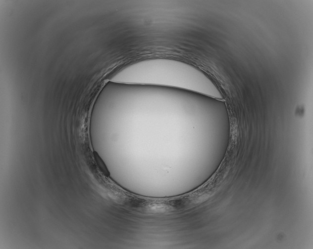 X0000095920360200801110900