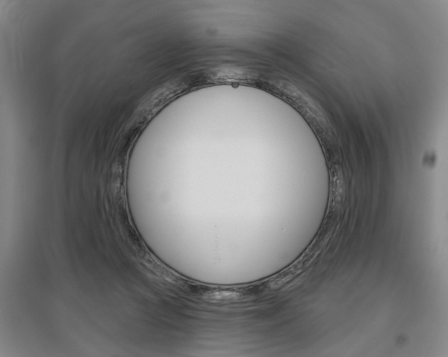 X0000095920361200801110900