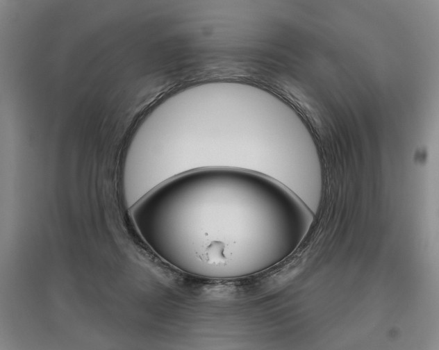X0000095920362200801110900