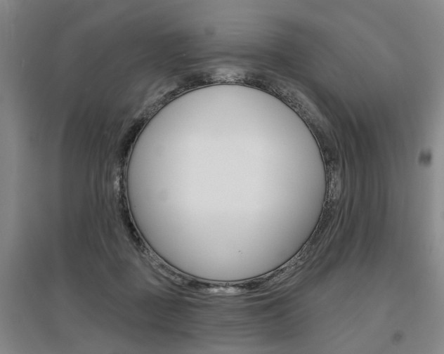 X0000095920363200801110900