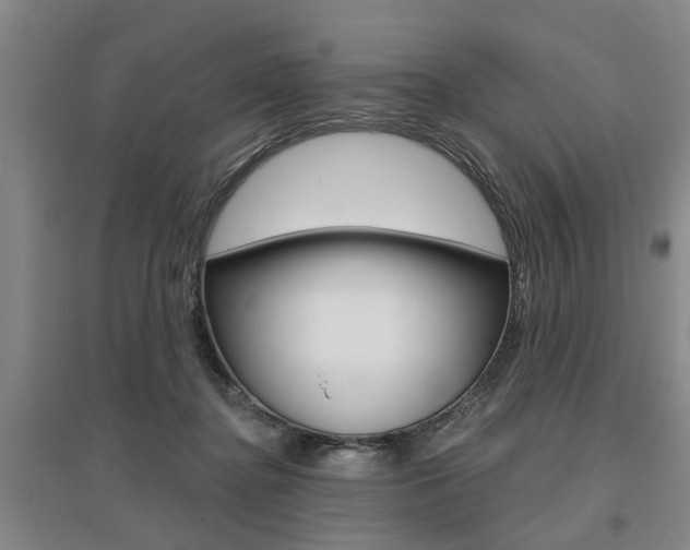 X0000095920364200801110900