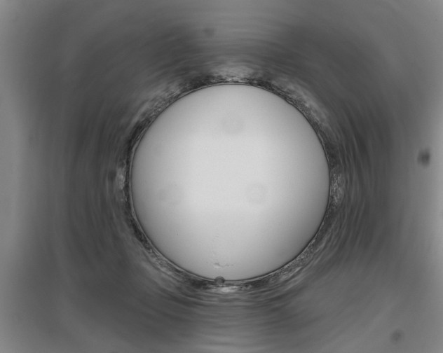 X0000095920365200801110900