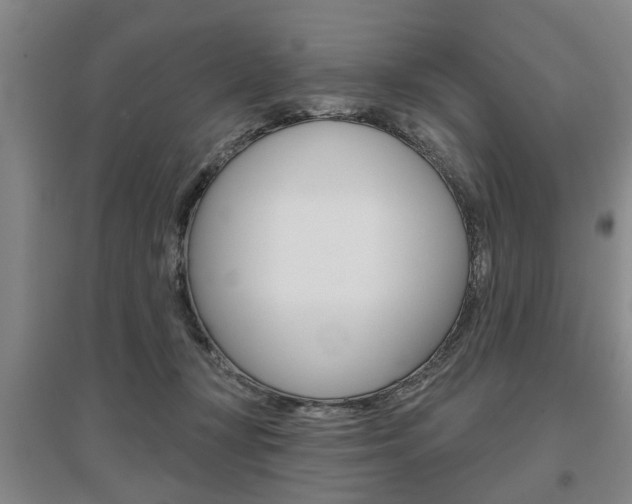 X0000095920367200801110900