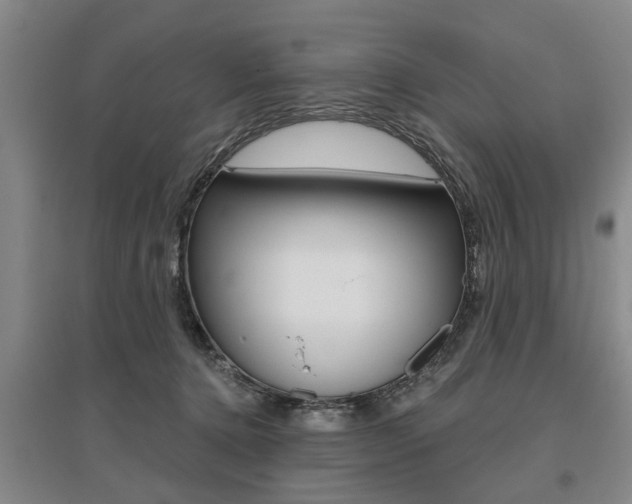 X0000095920368200801110900