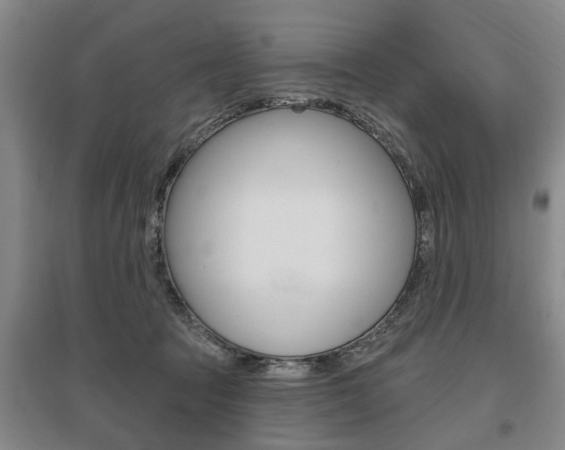 X0000095920369200801110900