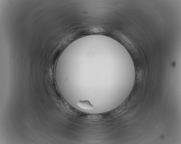 X0000095920373200801110900