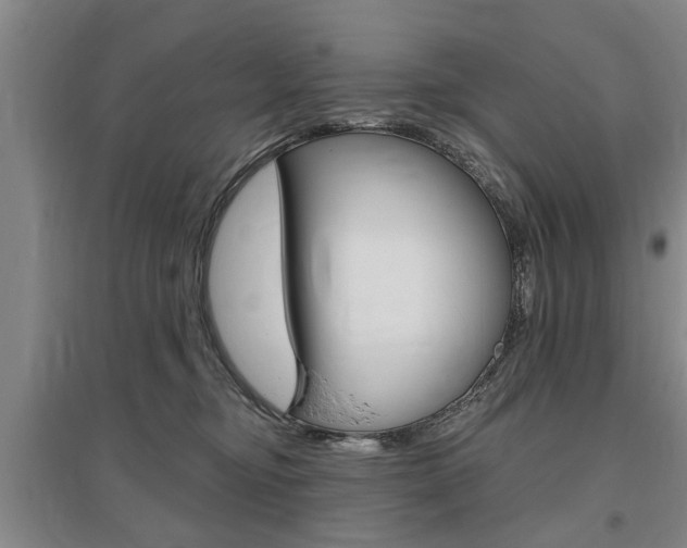 X0000095920374200801110900