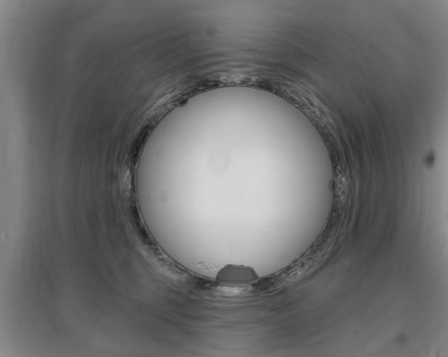 X0000095920375200801110900