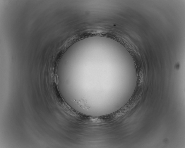X0000095920376200801110900