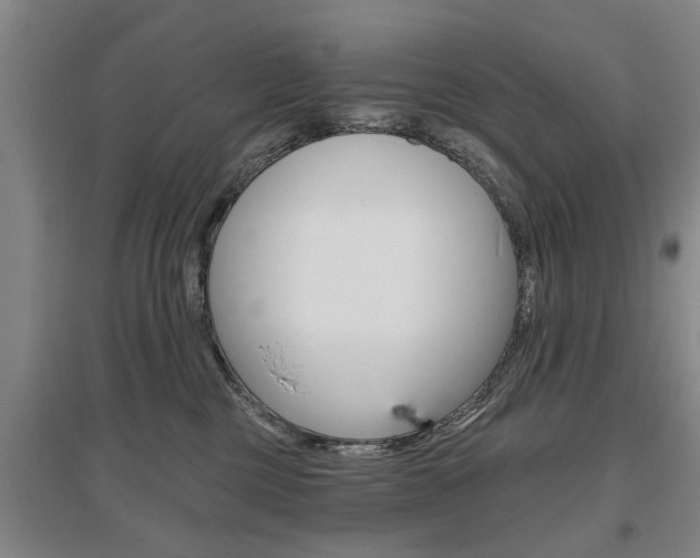 X0000095920377200801110900