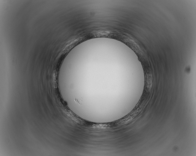 X0000095920378200801110900