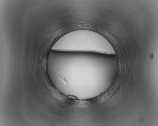 X0000095920379200801110900