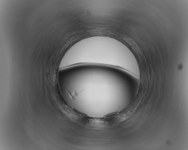 X0000095920380200801110900
