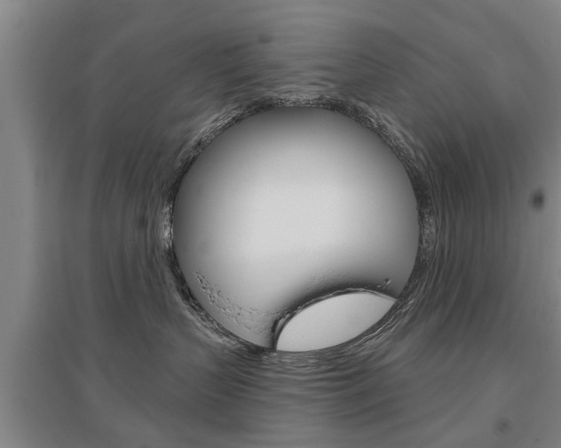 X0000095920383200801110900