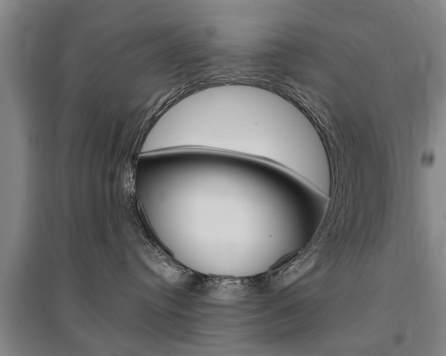 X0000095920384200801110900