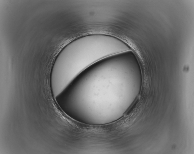 X0000095920385200801110900