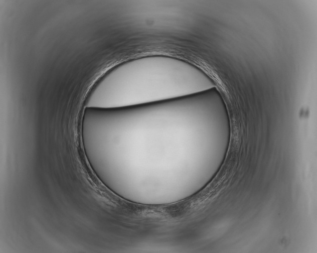X0000095920386200801110900