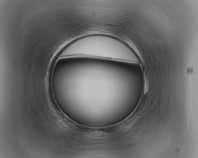 X0000095920387200801110900