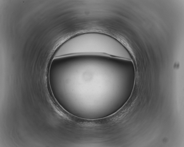 X0000095920389200801110900