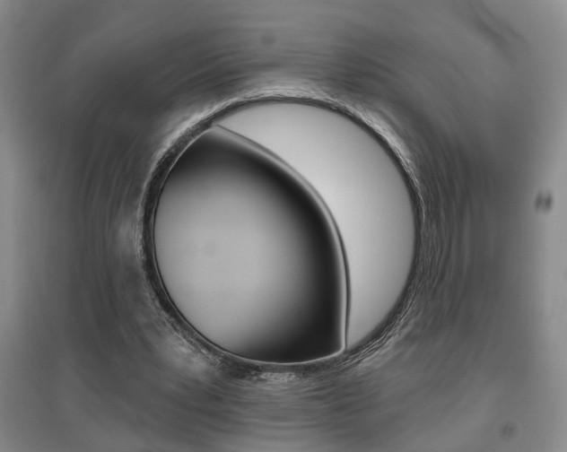 X0000095920391200801110900
