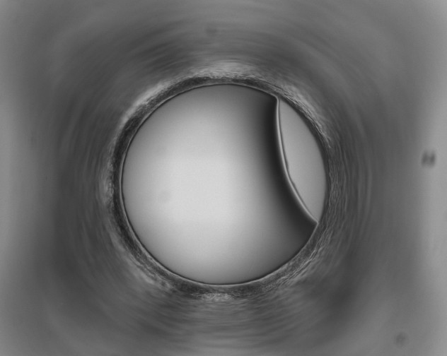 X0000095920392200801110900