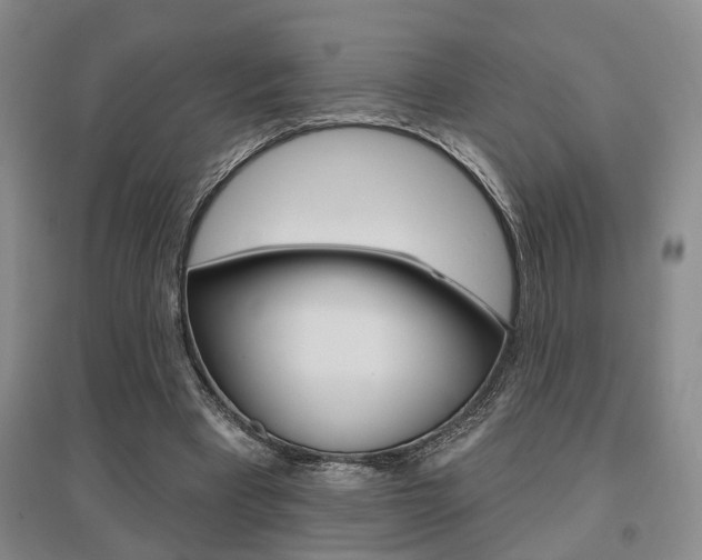 X0000095920393200801110900
