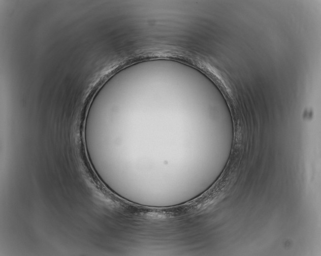 X0000095920394200801110900