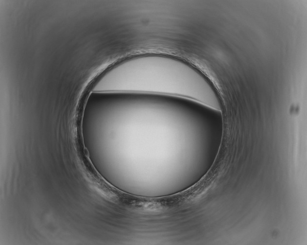 X0000095920395200801110900