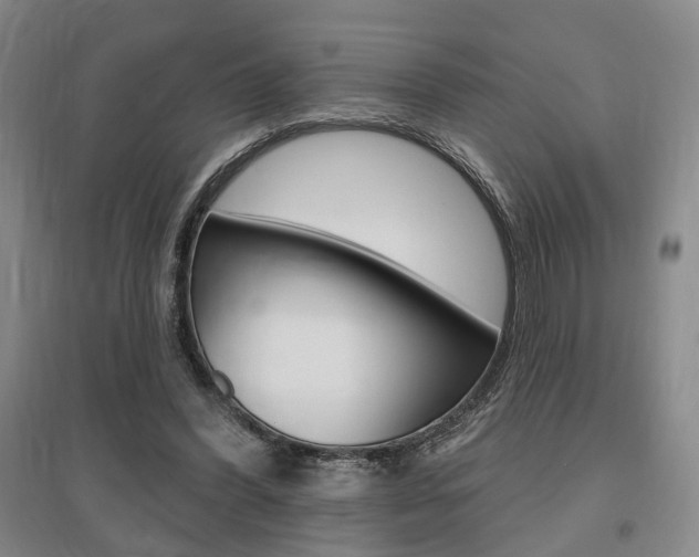 X0000095920396200801110900